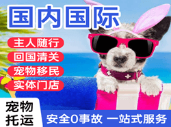 昆明机场快递国际宠物托运 【国